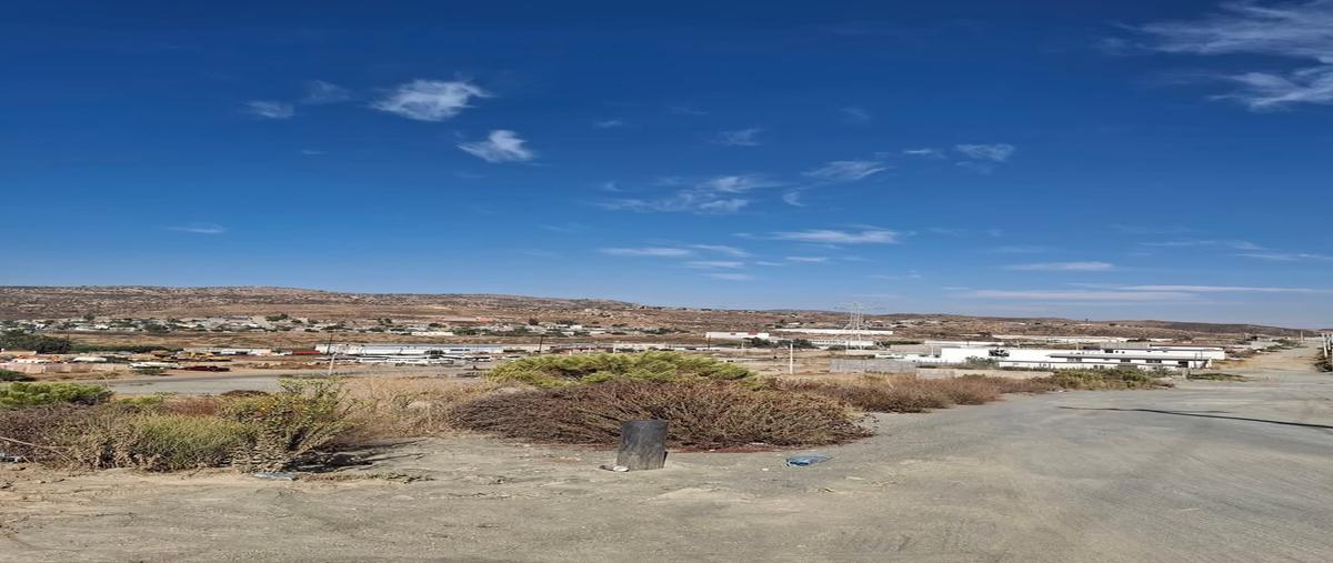 Foto de terreno habitacional en venta en na , el descanso, tecate, baja california, 30150623 No. 05