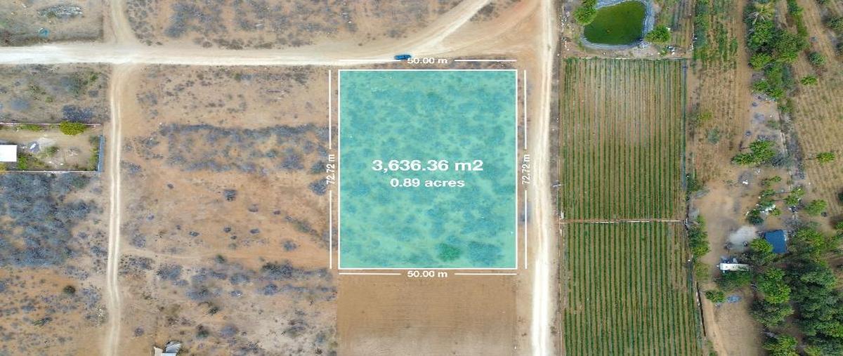 Foto de terreno habitacional en venta en na lote 2, las flores, la paz, baja california sur, 0 No. 03