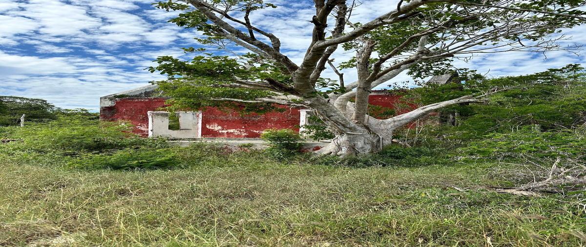 Foto de terreno habitacional en venta en n/a , progreso de castro centro, progreso, yucatán, 29540636 No. 03