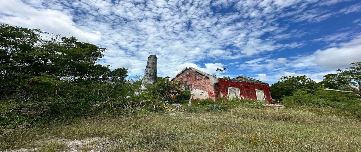 Foto de terreno habitacional en venta en n/a , progreso de castro centro, progreso, yucatán, 29540636 No. 05