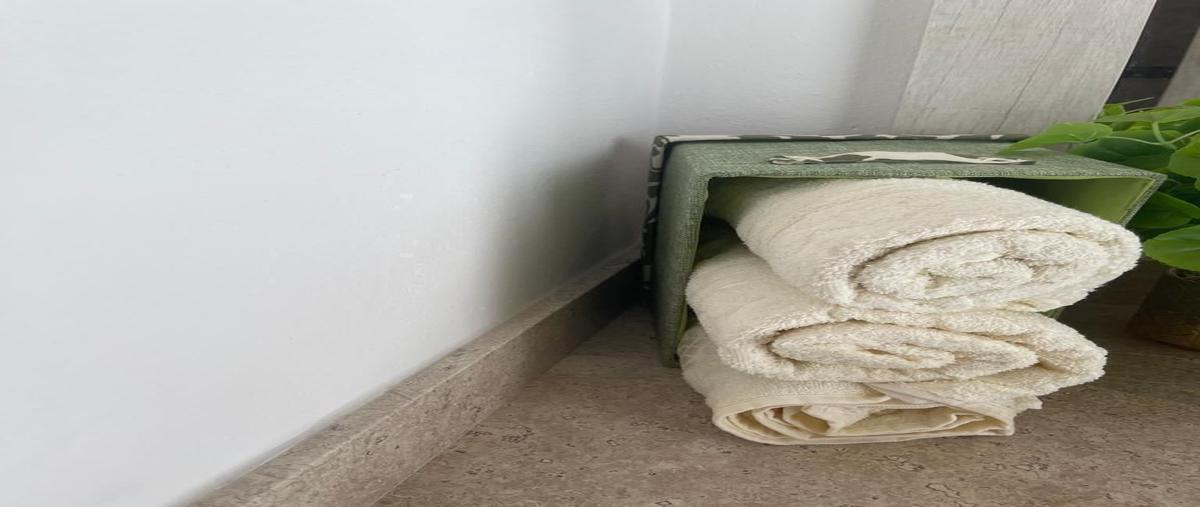 Foto de departamento en renta en na , residencial malanquin la mesa, san miguel de allende, guanajuato, 0 No. 11