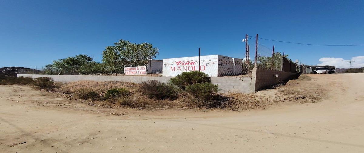 Foto de terreno habitacional en n/a , san antonio de las minas, ensenada, baja california, 30782079 foto 03 Foto de terreno habitacional en venta en n/a , san antonio de las minas, ensenada, baja california, 30782079 No. 03