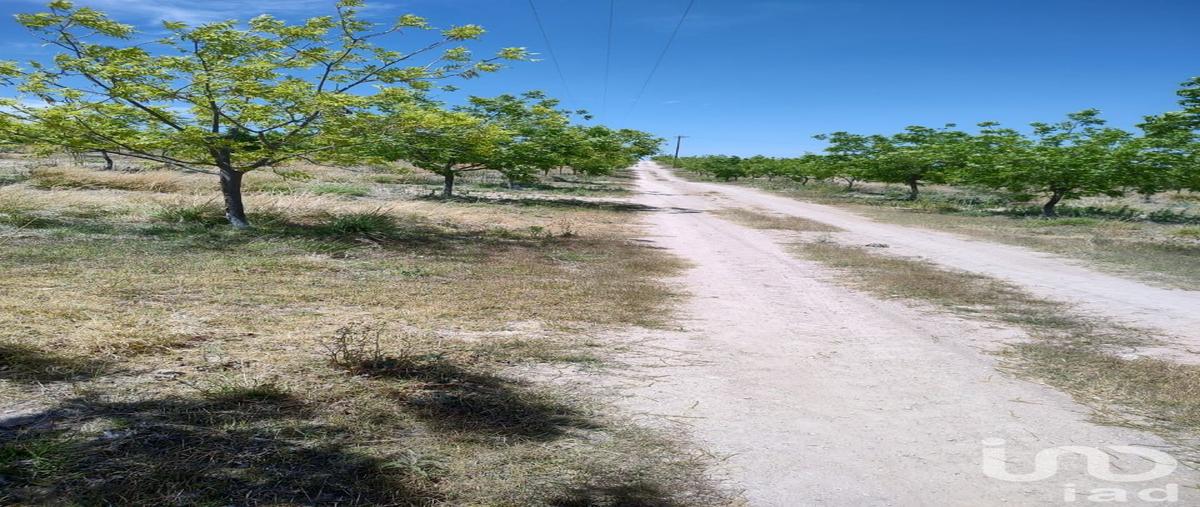 Foto de terreno comercial en n/a , san francisco de conchos, san francisco de conchos, chihuahua, 31496988 foto 05 Foto de terreno comercial en venta en n/a , san francisco de conchos, san francisco de conchos, chihuahua, 31496988 No. 05