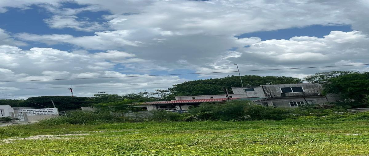 Foto de terreno habitacional en n/a , san ignacio, progreso, yucatán, 28601944 foto 05 Foto de terreno habitacional en venta en n/a , san ignacio, progreso, yucatán, 28601944 No. 05