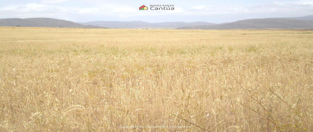 Foto de terreno habitacional en venta en n/a , san vicente, ensenada, baja california, 0 No. 04