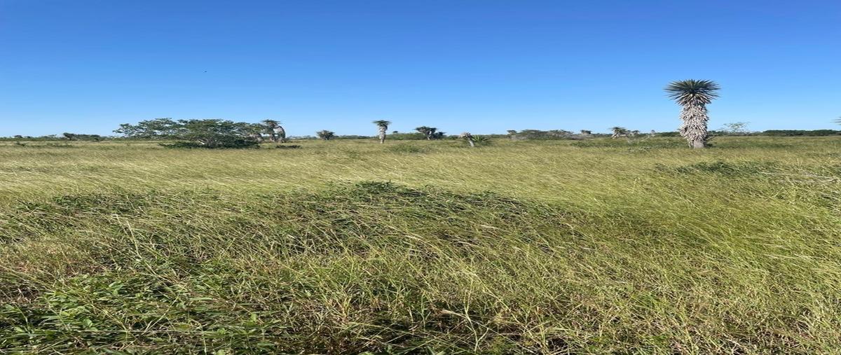 Foto de rancho en venta en n/a , soto la marina centro, soto la marina, tamaulipas, 29223023 No. 03