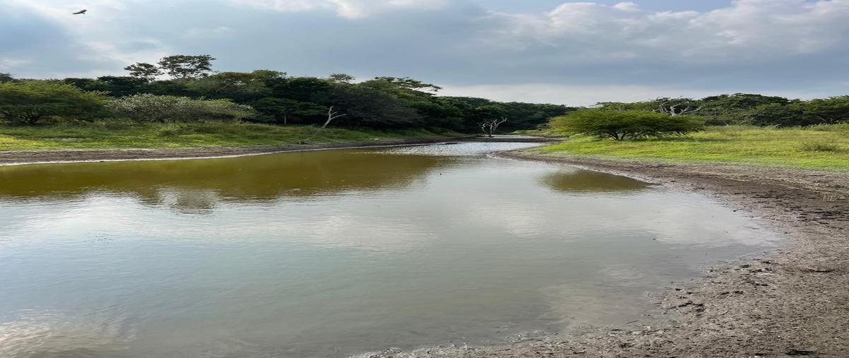 Foto de rancho en venta en n/a , soto la marina centro, soto la marina, tamaulipas, 29223023 No. 04
