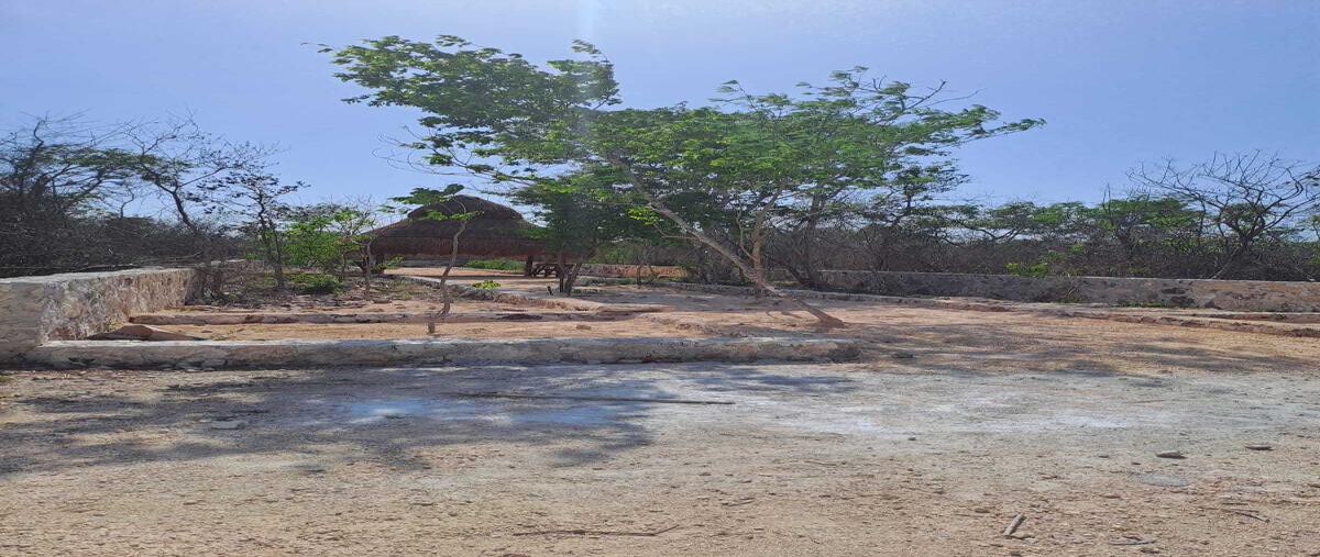 Foto de terreno habitacional en venta en n/a , ucu, ucú, yucatán, 0 No. 03