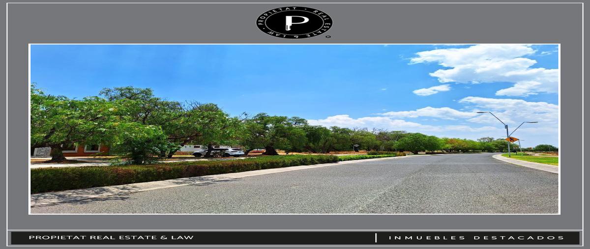 Foto de terreno habitacional en venta en na , zirándaro, san miguel de allende, guanajuato, 0 No. 04