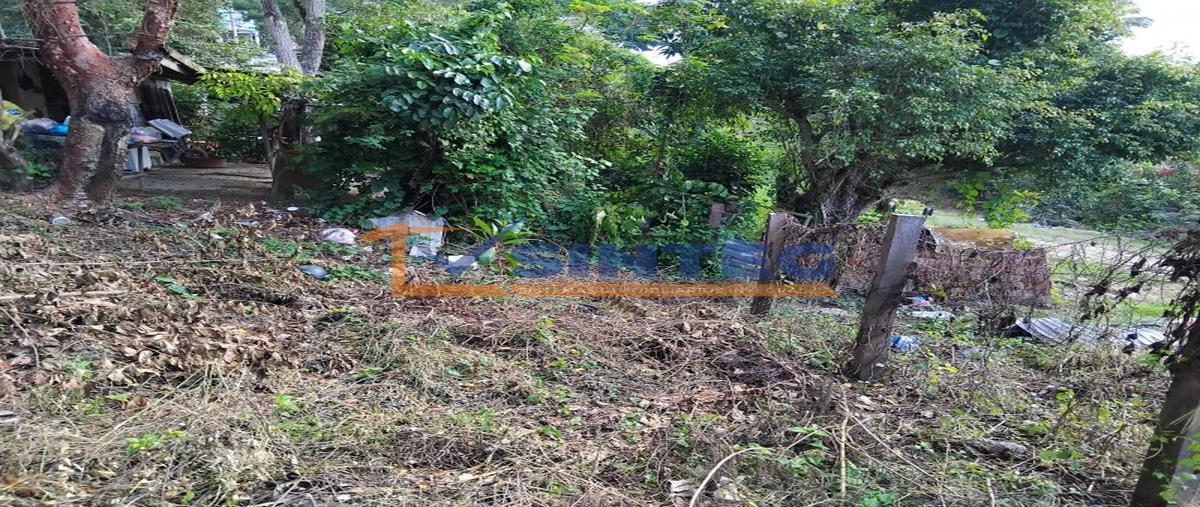 Foto de terreno habitacional en venta en  , nacional, poza rica de hidalgo, veracruz de ignacio de la llave, 0 No. 03