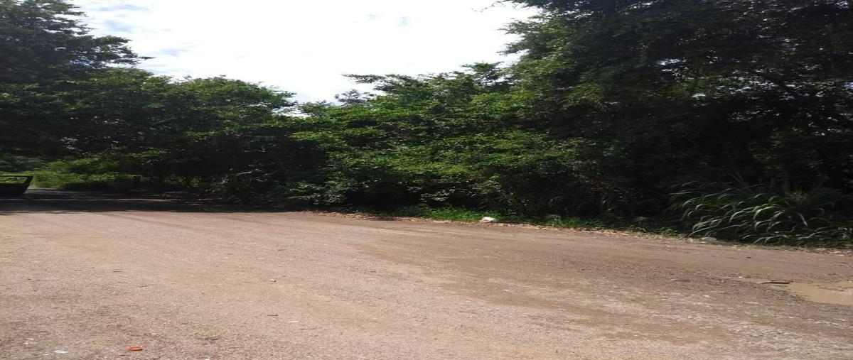 Foto de terreno habitacional en venta en nacoa , guadalupe victoria, puerto vallarta, jalisco, 17878167 No. 03