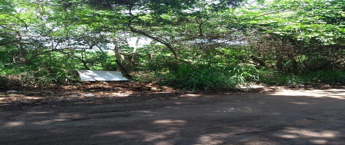 Foto de terreno habitacional en venta en nacoa , guadalupe victoria, puerto vallarta, jalisco, 17878167 No. 04
