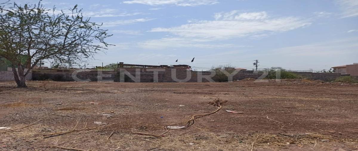 Foto de terreno habitacional en renta en  , nainari del yaqui, cajeme, sonora, 29411783 No. 03