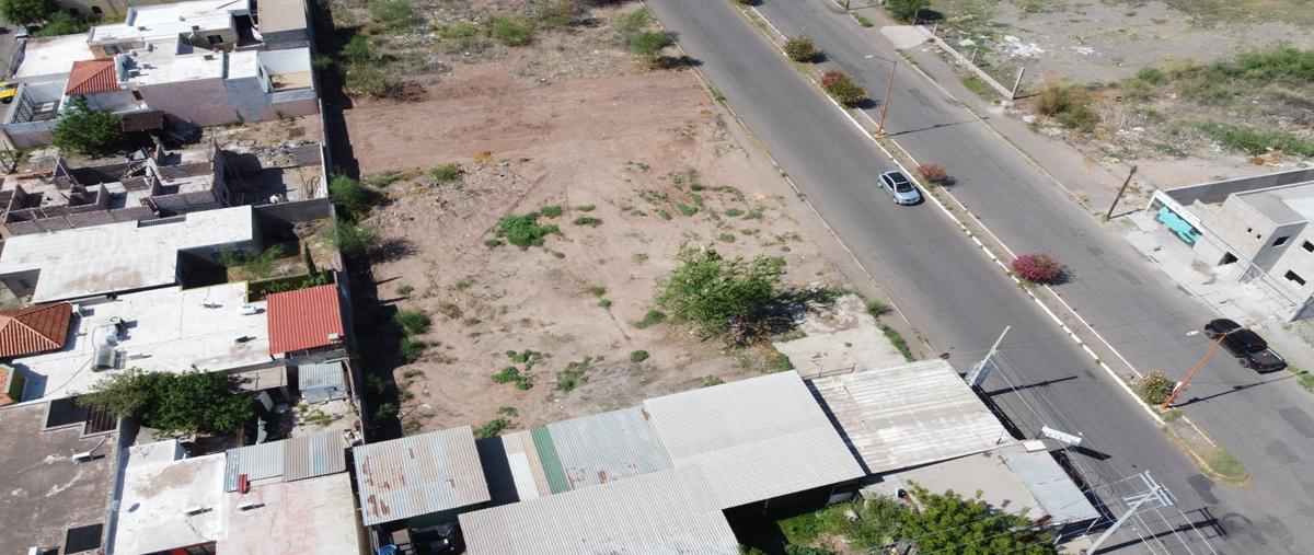Foto de terreno habitacional en renta en  , nainari del yaqui, cajeme, sonora, 29411783 No. 05