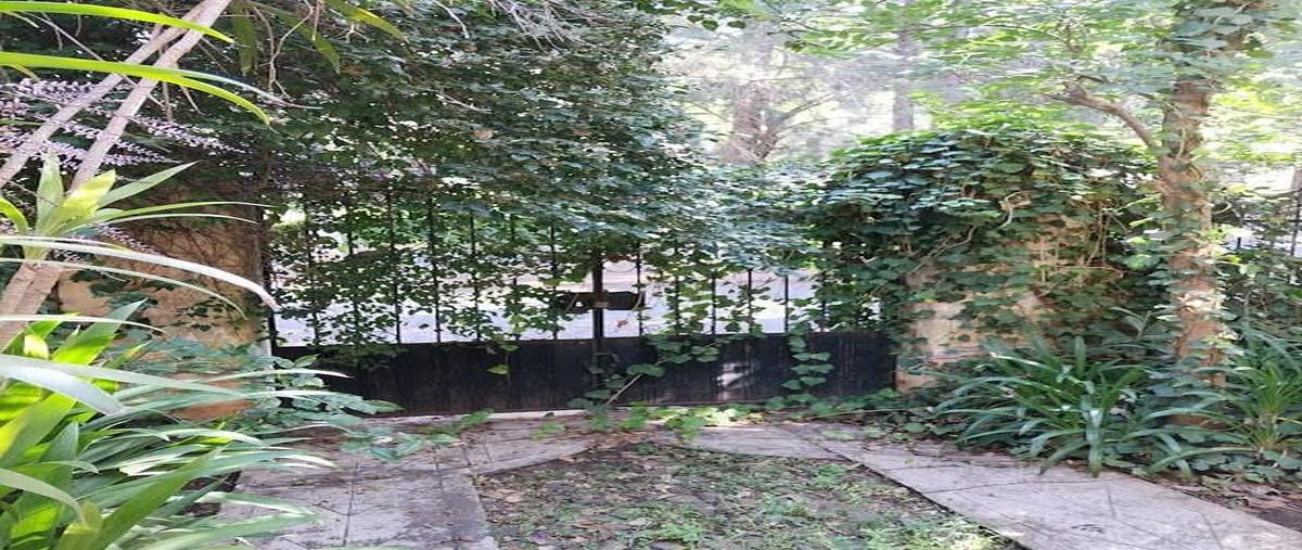 Foto de terreno habitacional en venta en napizaro , morelos, pátzcuaro, michoacán de ocampo, 30514999 No. 08