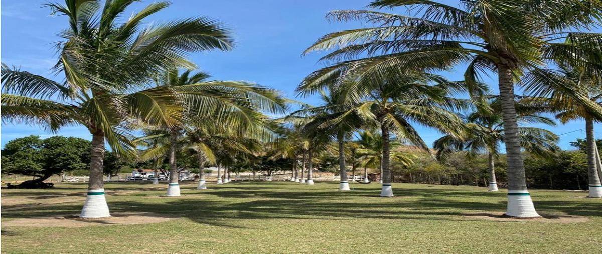 Foto de terreno habitacional en venta en  , naranjitos (arroyo seco), cabo corrientes, jalisco, 0 No. 04