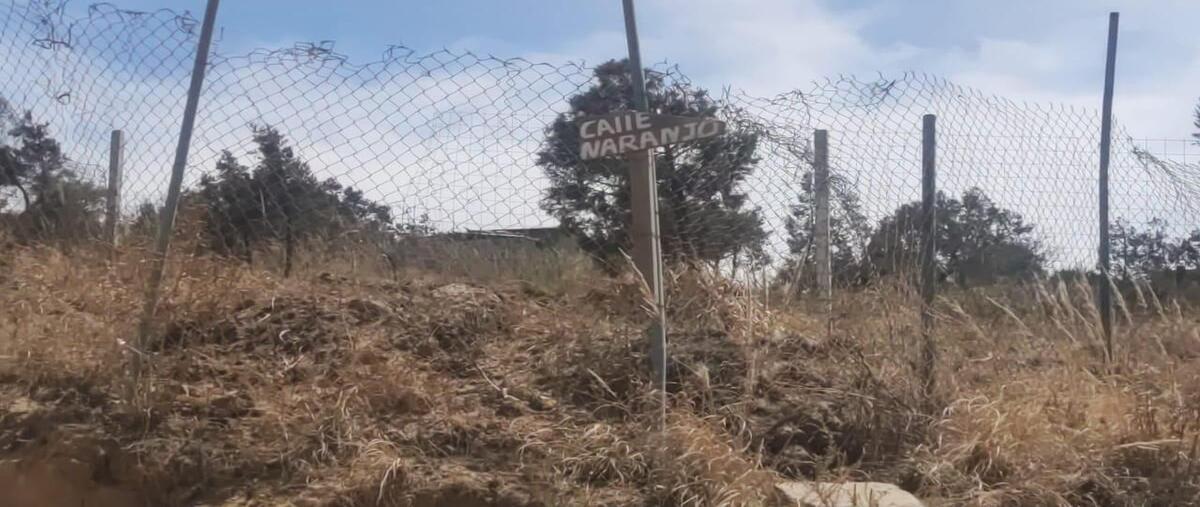 Foto de terreno habitacional en venta en naranjo , la magdalena atlicpac, la paz, méxico, 0 No. 02
