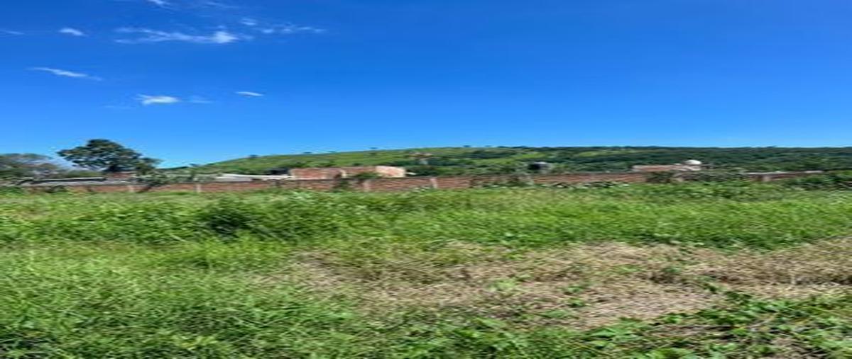 Foto de terreno habitacional en venta en naranjo , san francisco de la soledad, tonalá, jalisco, 27823353 No. 01