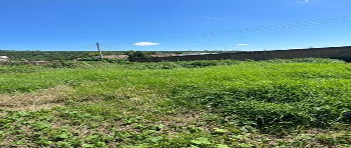 Foto de terreno habitacional en venta en naranjo , san francisco de la soledad, tonalá, jalisco, 27823353 No. 03