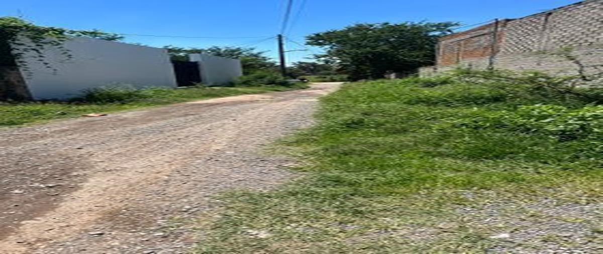 Foto de terreno habitacional en venta en naranjo , san francisco de la soledad, tonalá, jalisco, 27823353 No. 04
