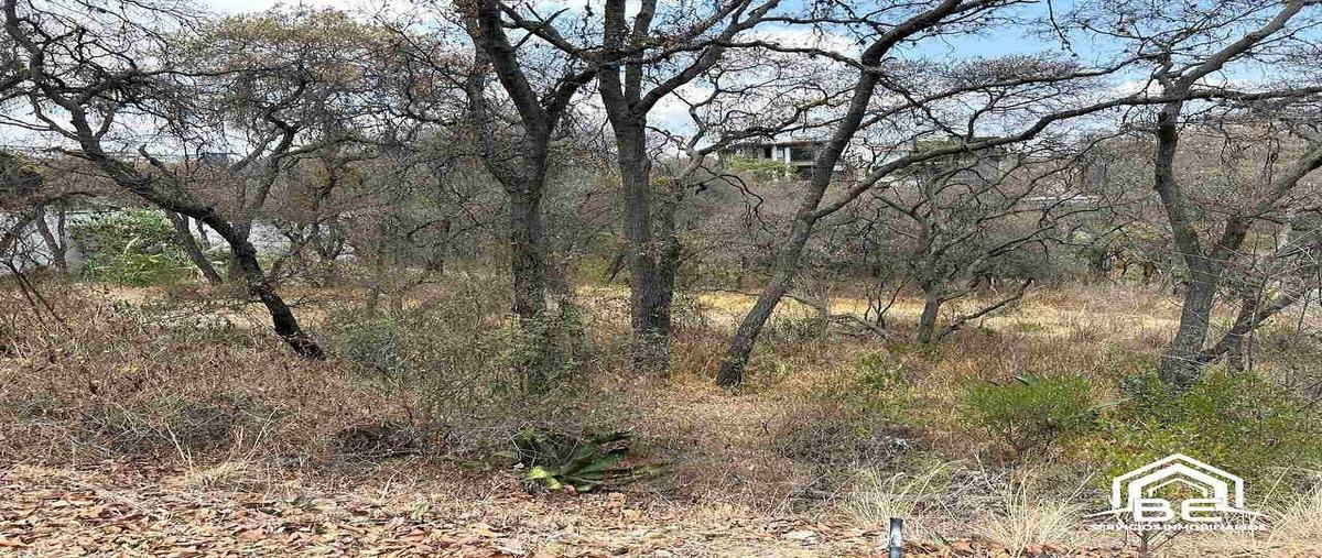 Foto de terreno habitacional en venta en naranjos , rancho san juan, atizapán de zaragoza, méxico, 0 No. 05