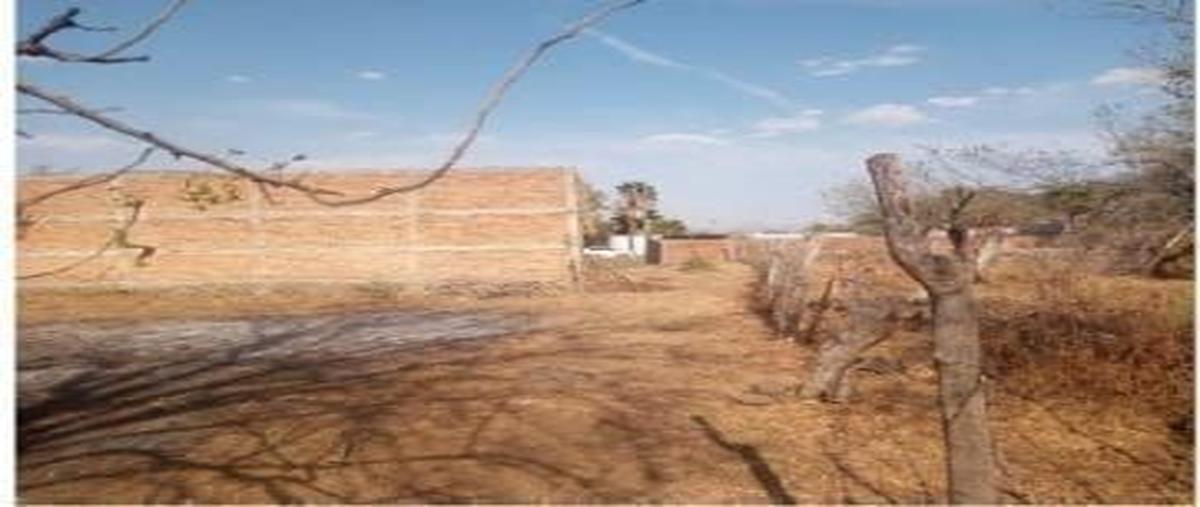 Foto de terreno habitacional en venta en naranjos , san francisco de la soledad, tonalá, jalisco, 27821800 No. 03