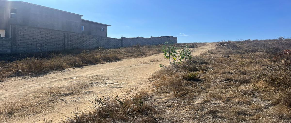 Foto de terreno habitacional en narciso , campo real, playas de rosarito, baja california, 30071631 foto 02 Foto de terreno habitacional en venta en narciso , campo real, playas de rosarito, baja california, 30071631 No. 02