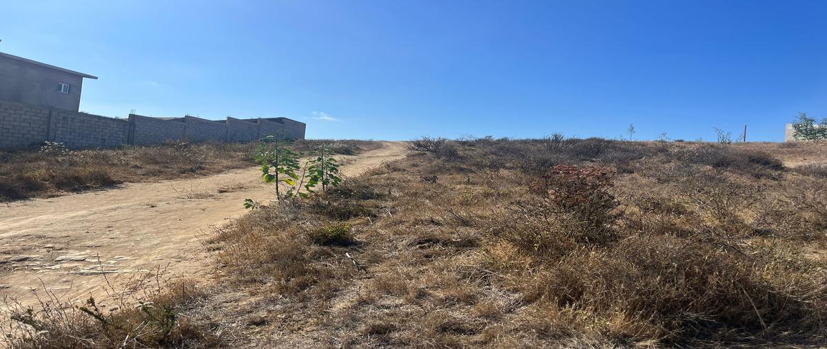 Foto de terreno habitacional en venta en narciso , lomas de cantamar, playas de rosarito, baja california, 30071631 No. 05