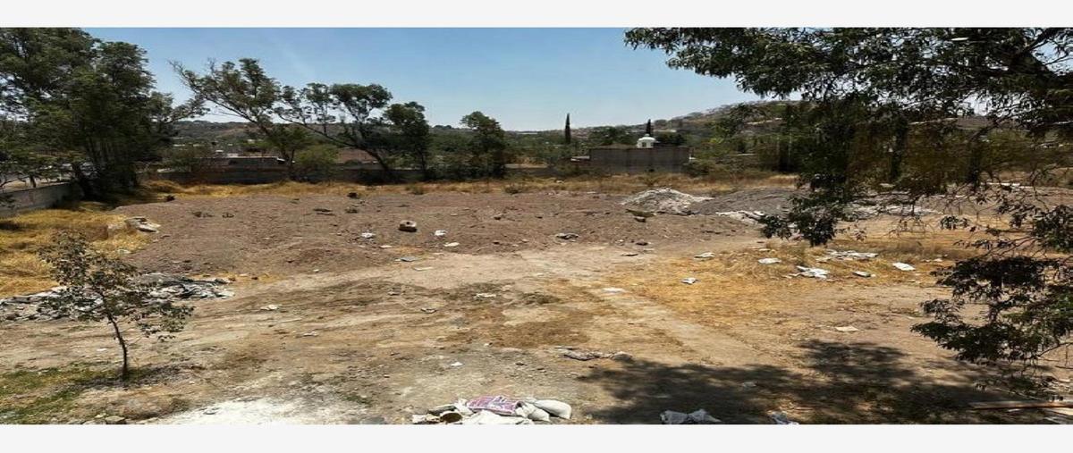 Foto de terreno comercial en renta en narciso mendoza 349, san martín de las flores de arriba, san pedro tlaquepaque, jalisco, 0 No. 02