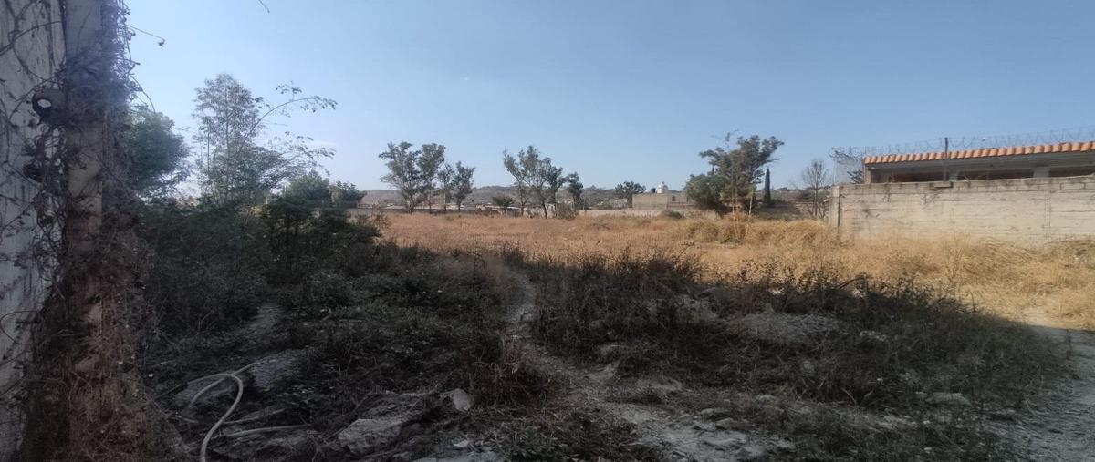 Foto de terreno industrial en renta en narcizo mendoza , el verde, el salto, jalisco, 28088422 No. 04