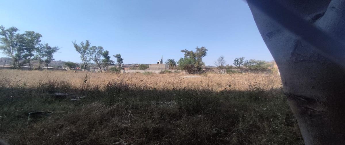 Foto de terreno industrial en renta en narcizo mendoza , el verde, el salto, jalisco, 28088422 No. 05