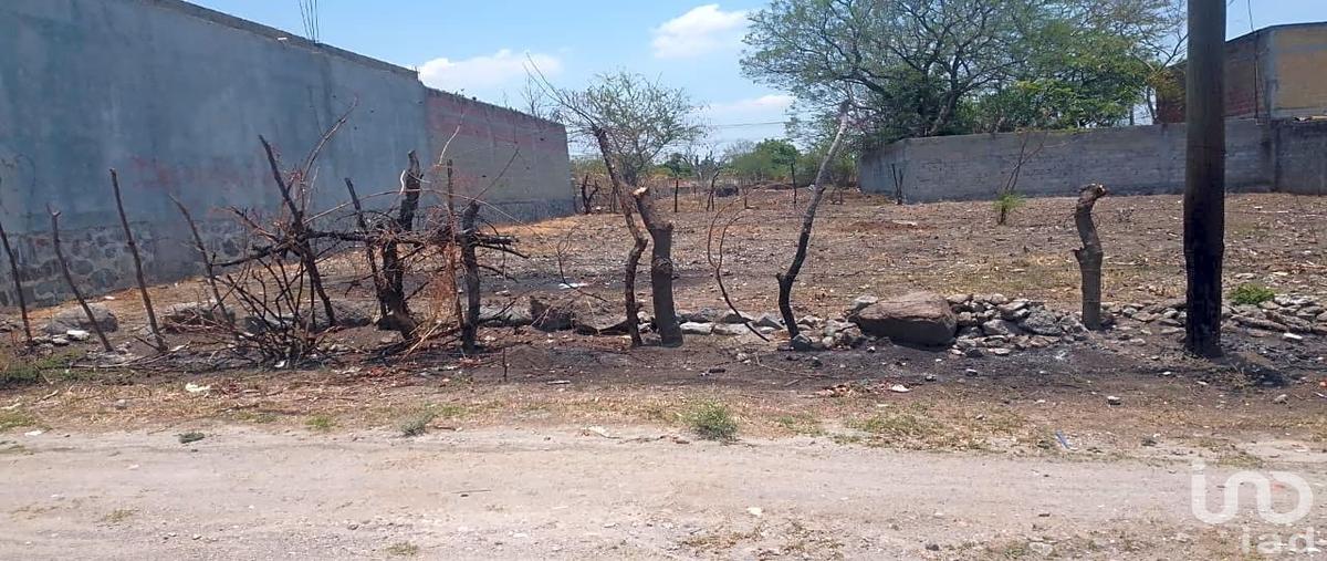 Foto de terreno habitacional en venta en nardos , obrera popular, xochitepec, morelos, 31308808 No. 05