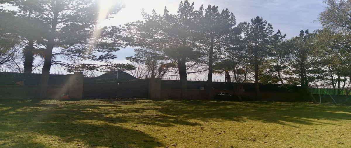 Foto de rancho en venta en nardos , villas ecológicas los nardos (los nardos), lagos de moreno, jalisco, 0 No. 05