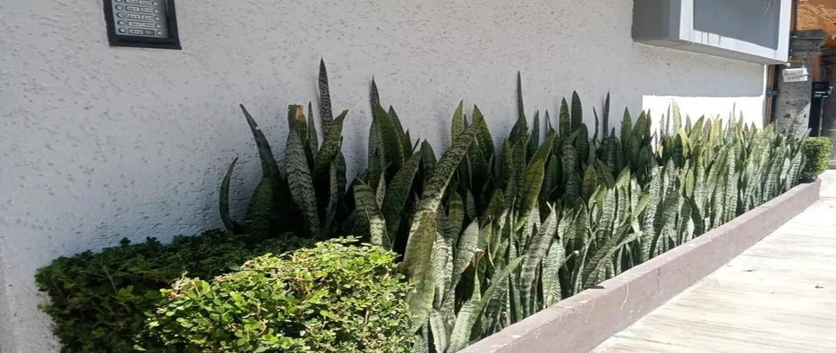 Foto de departamento en venta en  , narvarte oriente, benito juárez, df / cdmx, 31029640 No. 04