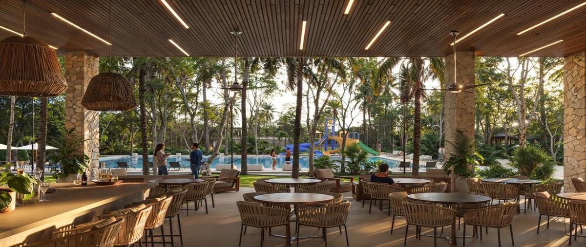 Foto de terreno habitacional en , natura playa del carmen, solidaridad, quintana roo, 0 foto 03 Foto de terreno habitacional en venta en , natura playa del carmen, solidaridad, quintana roo, 0 No. 03