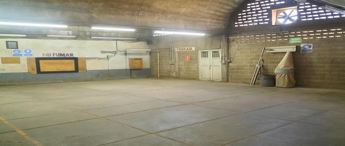 Foto de bodega en venta en  , navarro, torreón, coahuila de zaragoza, 31098237 No. 05