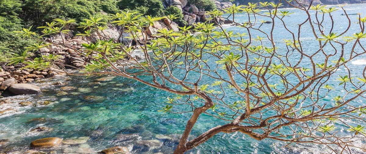 Foto de terreno habitacional en venta en navegantes , brisas del marqués, acapulco de juárez, guerrero, 0 No. 04