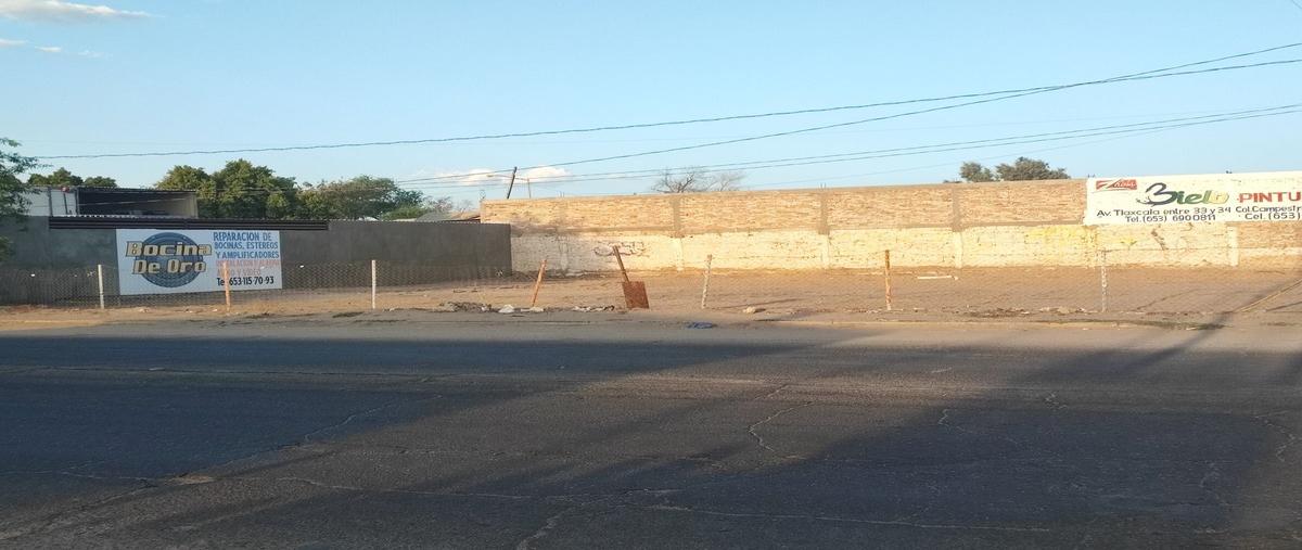 Foto de terreno habitacional en renta en nayarit b y 22 , jalisco, san luis río colorado, sonora, 28215987 No. 04