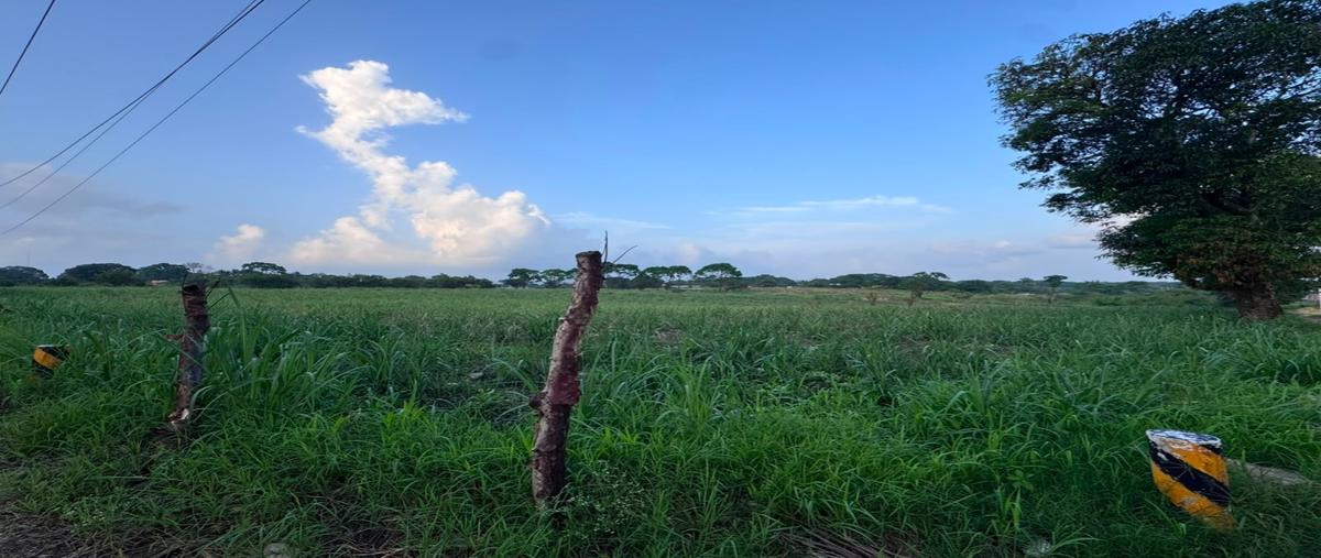 Foto de terreno habitacional en venta en  , negro yanga, yanga, veracruz de ignacio de la llave, 0 No. 03
