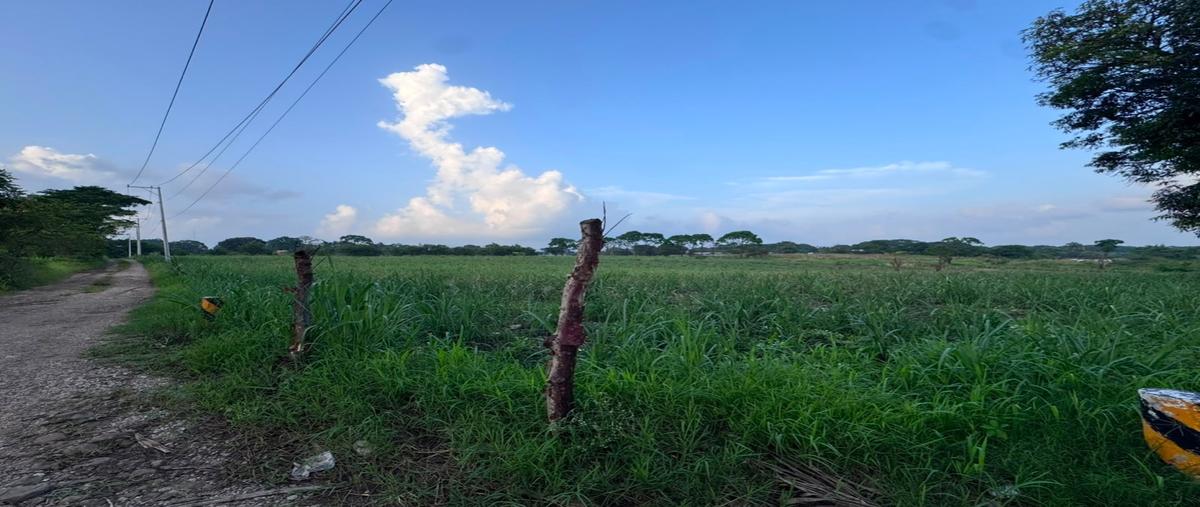 Foto de terreno habitacional en venta en  , negro yanga, yanga, veracruz de ignacio de la llave, 0 No. 05