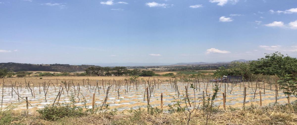Foto de terreno habitacional en venta en  , nepantla de sor juana inés, tepetlixpa, méxico, 15241299 No. 04