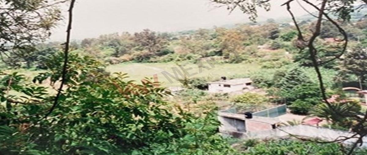 Foto de terreno habitacional en venta en  , nepantla de sor juana inés, tepetlixpa, méxico, 26345735 No. 03