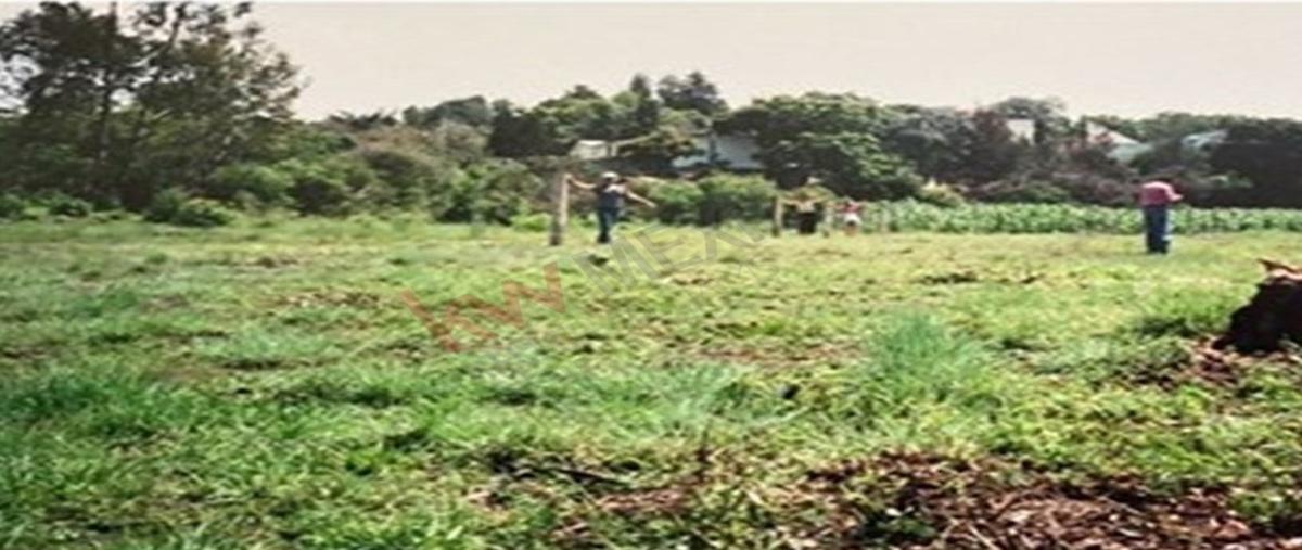 Foto de terreno habitacional en venta en  , nepantla de sor juana inés, tepetlixpa, méxico, 26345735 No. 04