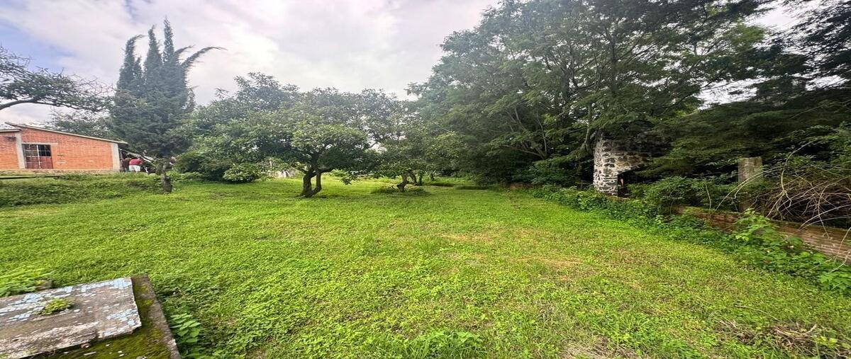 Foto de terreno habitacional en venta en  , nepantla de sor juana inés, tepetlixpa, méxico, 0 No. 05