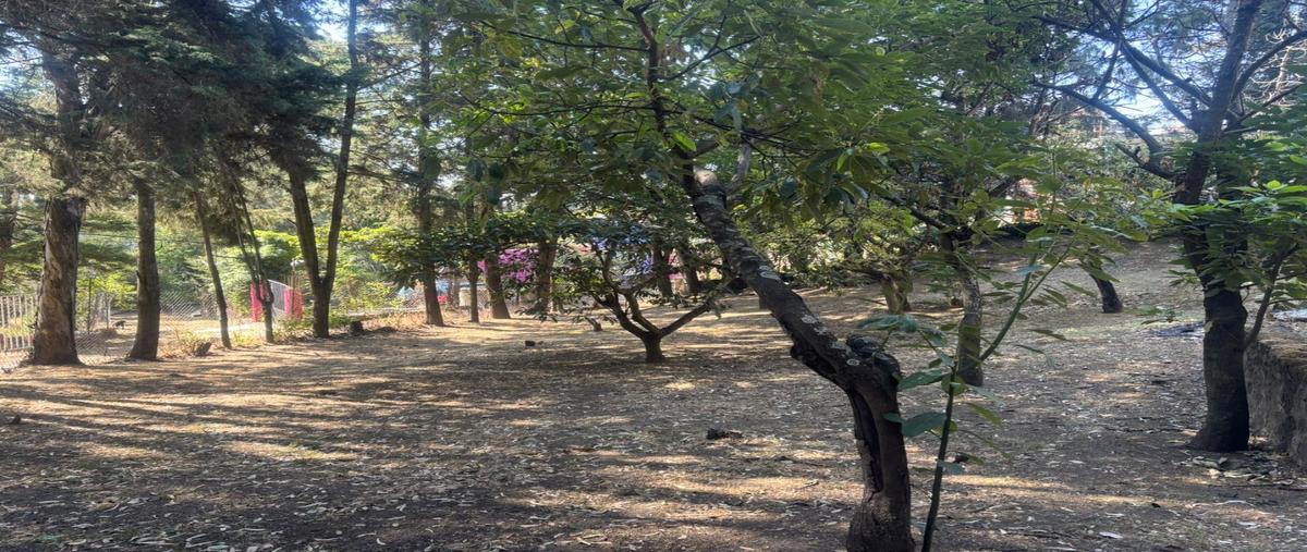 Foto de terreno habitacional en venta en  , nepantla de sor juana inés, tepetlixpa, méxico, 0 No. 05