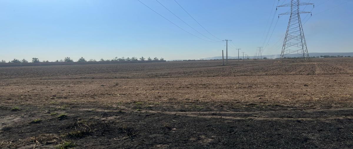 Foto de terreno habitacional en venta en  , nextipac, zapopan, jalisco, 0 No. 05