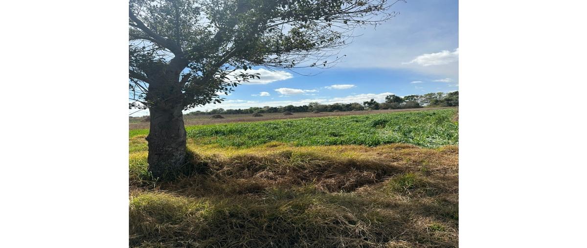 Foto de terreno habitacional en venta en  , nextlalpan, zacatelco, tlaxcala, 0 No. 03