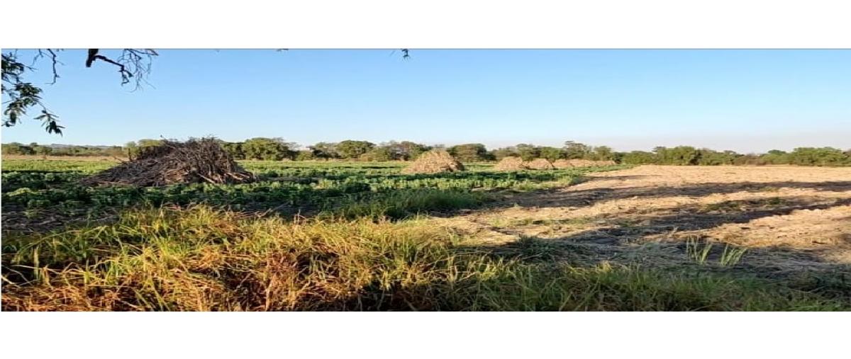 Foto de terreno habitacional en venta en  , nextlalpan, zacatelco, tlaxcala, 0 No. 04