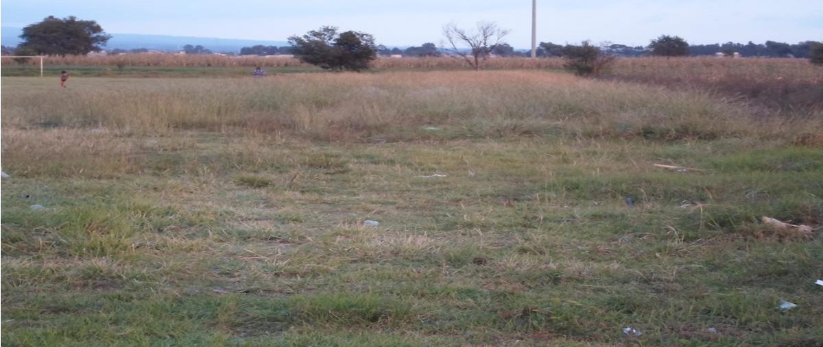 Foto de terreno habitacional en venta en  , nextlalpan, zacatelco, tlaxcala, 0 No. 03