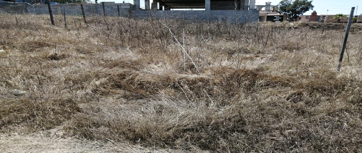 Foto de terreno habitacional en venta en nezahualcóyotl , aztlán, playas de rosarito, baja california, 30178549 No. 04